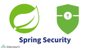 Spring Security icon